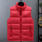 Light Men's Puffer Vest - Slim Stand Collar, Quilted