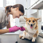 Stainless Steel Pet Nail Clipper - Dog & Cat Grooming Device for Compact to Medium Pets, Nail Maintenance