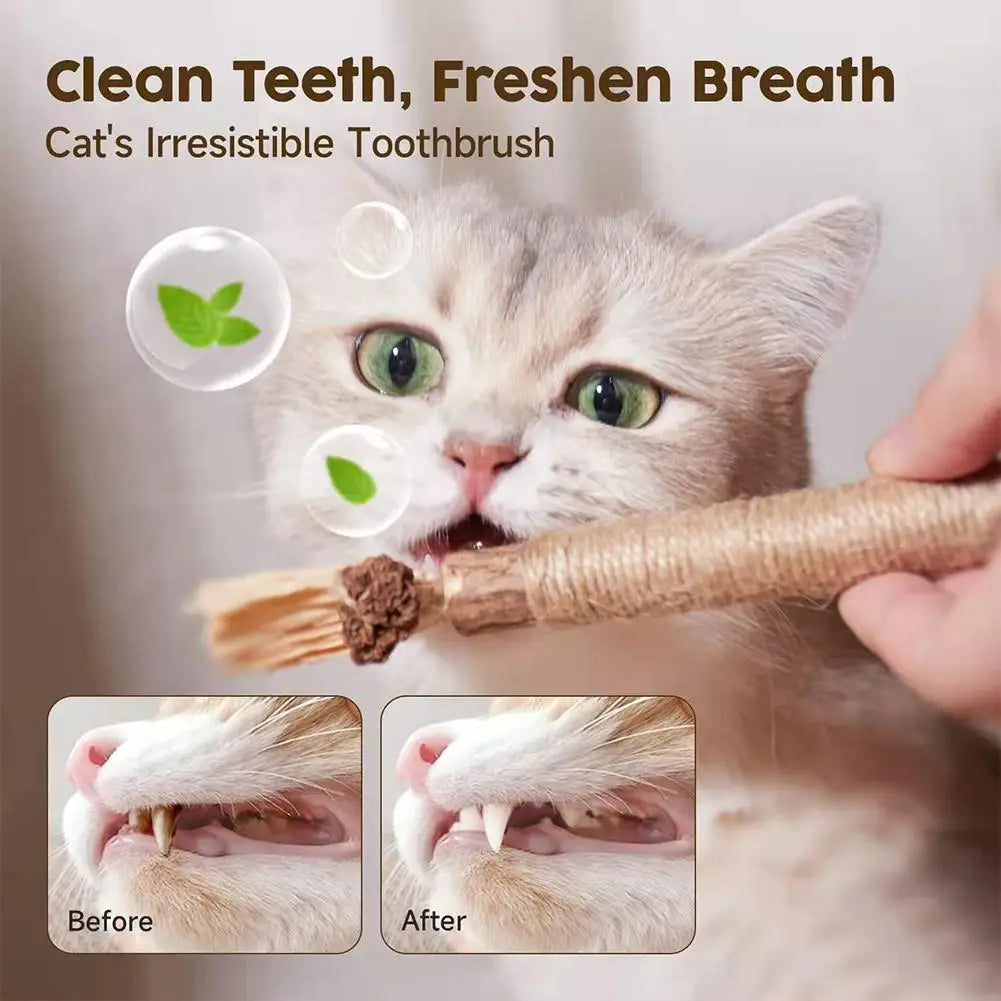 Organic Silver Vine Cat Dental Chew Rod - Bite-Resistant Matatabi Teeth Cleaning Toy
