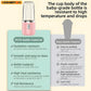 Travel-Friendly Blender 6-Blade 400ml Personal Smoothie Maker Spring 2026 Trend Safety Lock And Auto Pulp Ejection