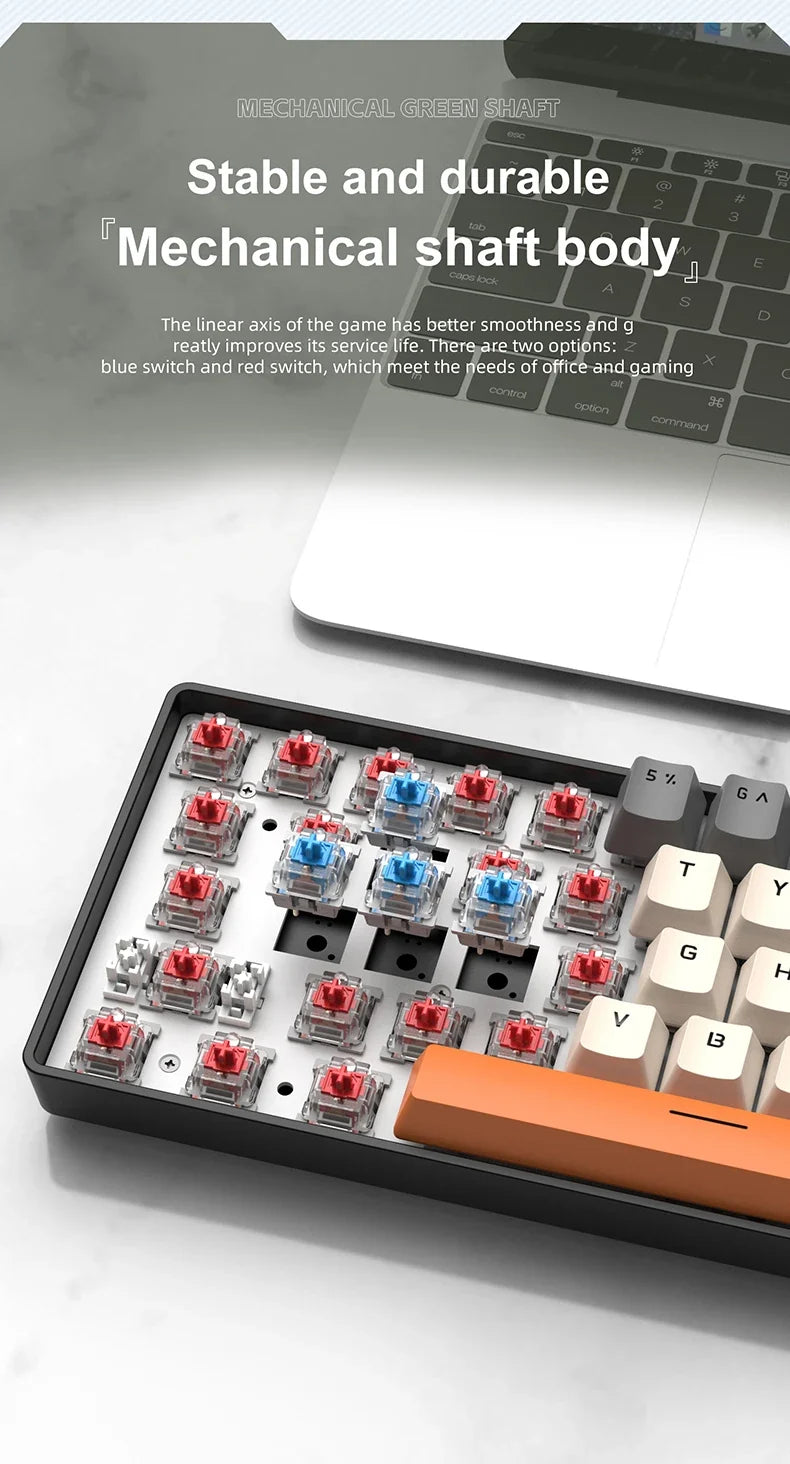 60 Percent Mechanical Mini Keyboard Wired RGB Travel-Friendly