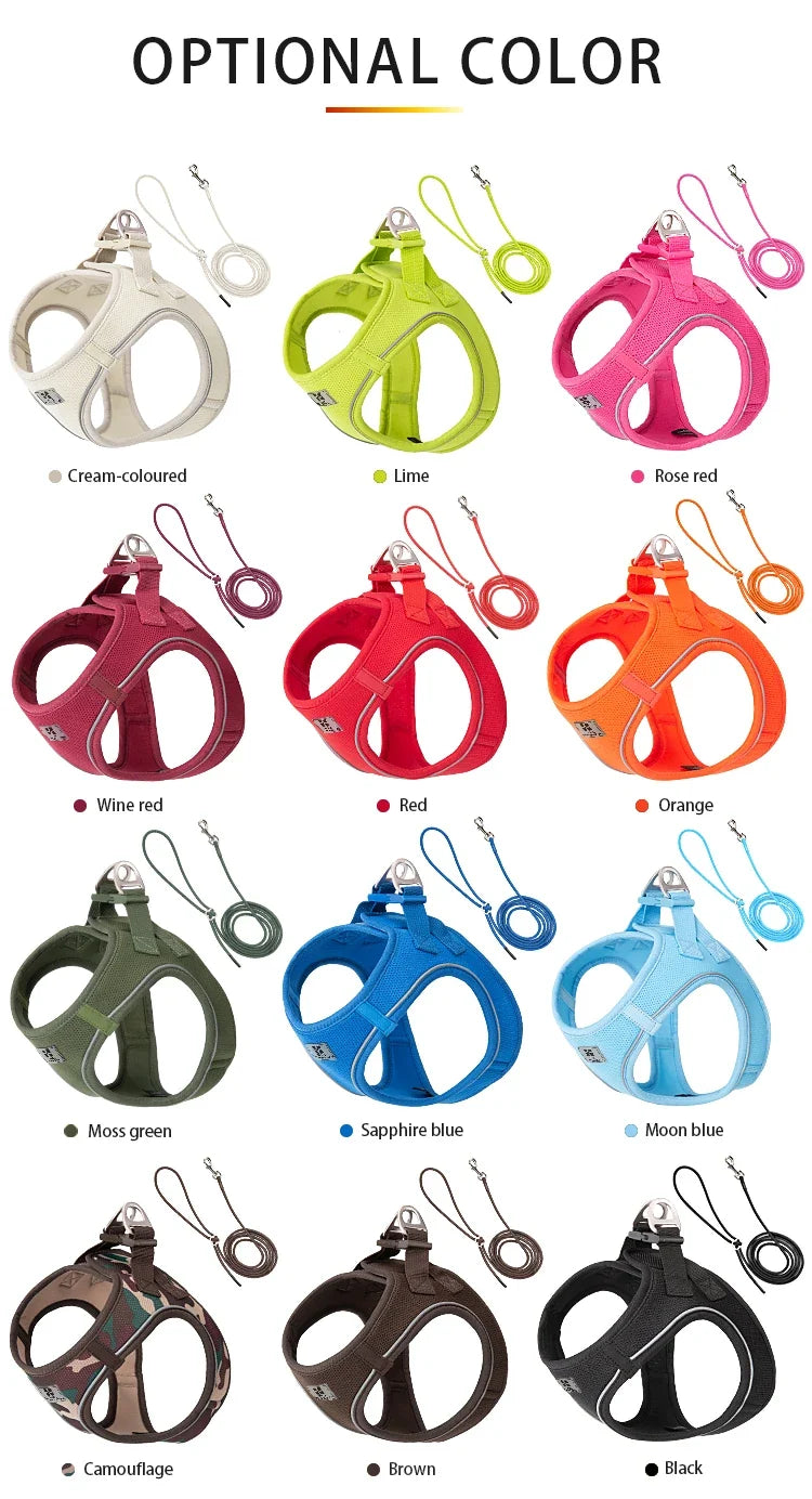Dog Harness Leash Kit Reflective Padded Vest All Seasons Outdoor Walking Gift Idea