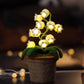 Lily Knitted Of The Valley Cotton Rope Pot Lamp Cozy