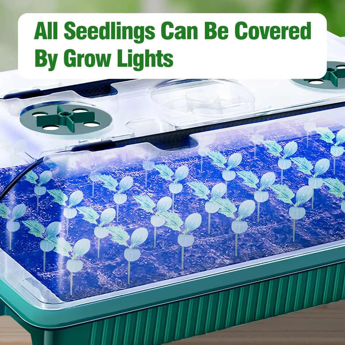 High Dome Seed Starter Trays with LED Grow Lights - 80 Cells, Smart Timer, Garden Tools for Household Gardening