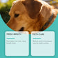 Organic Bad Breath Freshener Dog Cat Teeth Cleaning Plaque Reducer 2026 – Pet Oral Maintenance Spray 100ml