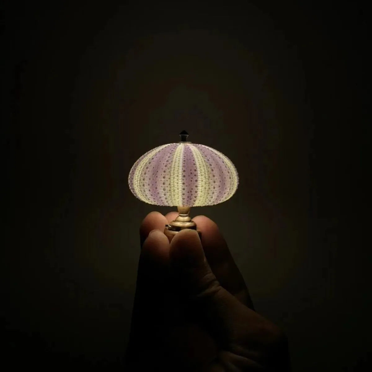 Retro Popular Sea Urchin Night Lamp - Children's Table Lamp for Girls Room Decor