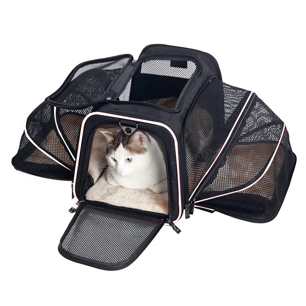 Pet Carrier Bag Up To 10kg Foldable Breathable Plush-Sided Travel Carrier Fall 2025 Safe Locking Zippers