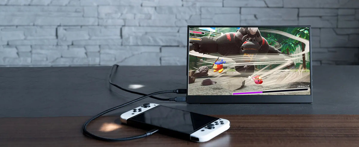 OLED 13.3 Inch Travel-Friendly Monitor 1ms HDR 100 Percent DCI P3