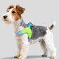 Dog Harness Y Shaped Flexible Chest Straps Polyester Blends Summer 2026 Outdoor Use Simple Fit