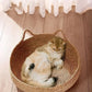 Cat Bed Organic Woven Nest With Seasonal Heating Pad And Washable Insert, Fall 2025 Cozy All Season Retreat