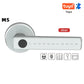 Smart Door Lock Fingerprint Bluetooth Tuya Digital Electronic Lock Smart Household 2025 Keyless Multi Access