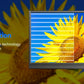 Travel-Friendly 15.6 Inch 1080P Gaming Monitor 60Hz Second Screen