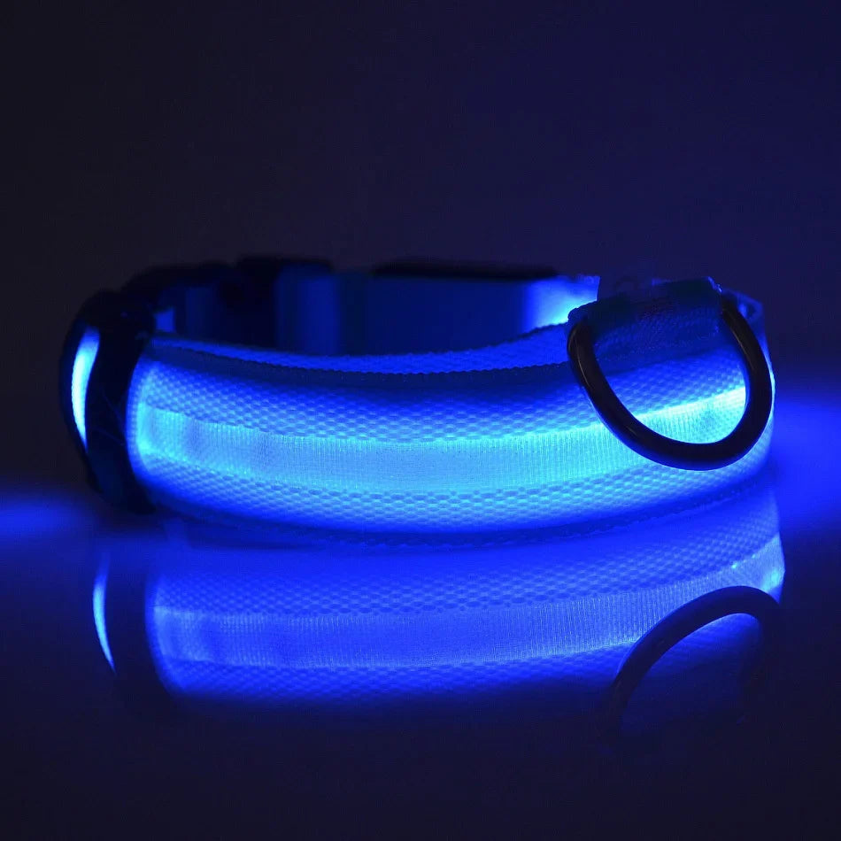 LED Dog Collar Glow In The Dark Night Safety Luminous Fall 2026 Trend Great Gift Idea