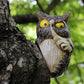 Tree Owl Hanging Ornament Resin Hide And Seek Owl Garden Decor For Yard And Patio Fall 2026 Trend Gift