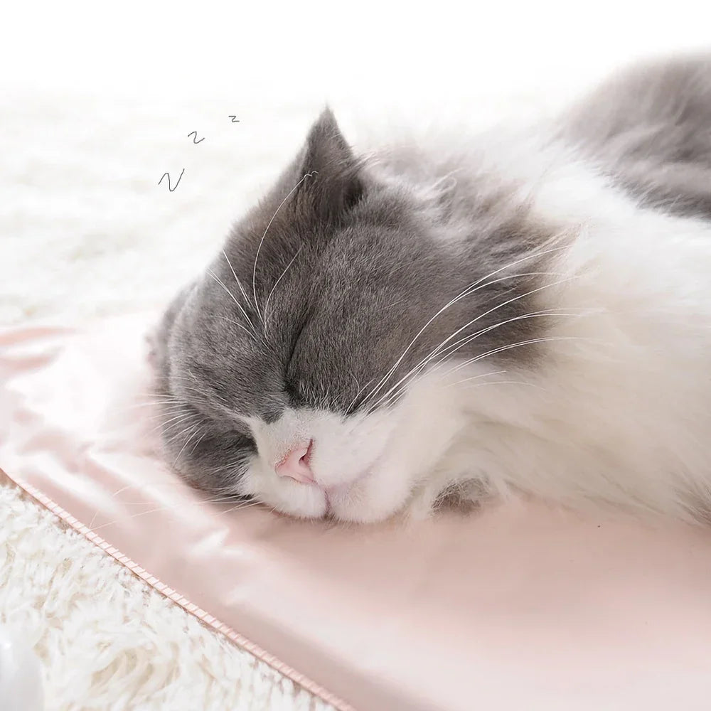 Winter Bed Heating Pad - Water-Resistant Warming Mat for Cats and Dogs