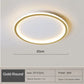 LED2026 Edition Ceiling Light Scandinavian Minimalist Circular with Remote Control Energy Efficient Household Decor TikTok Viral Fall