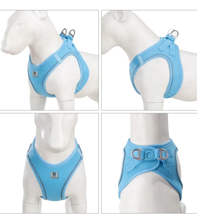Dog Harness Leash Kit Reflective Padded Vest All Seasons Outdoor Walking Gift Idea