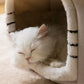 Cat Bed Foldable Cave House Plush Kennel Winter 2025 Cozy Washable Hideaway For Compact Dogs And Cats