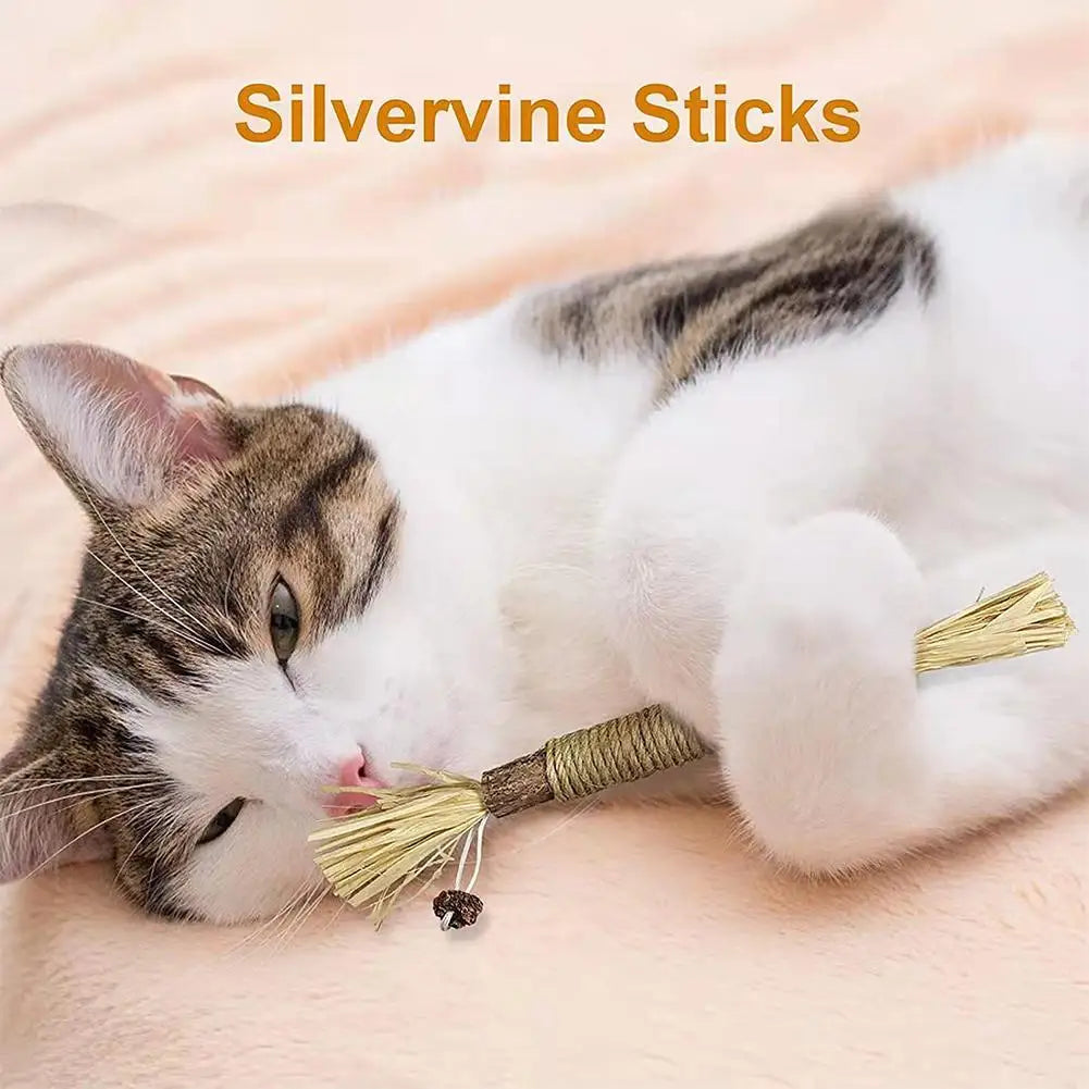 Organic Silver Vine Cat Dental Chew Rod - Bite-Resistant Matatabi Teeth Cleaning Toy