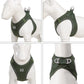Dog Harness Leash Kit Reflective Padded Vest All Seasons Outdoor Walking Gift Idea