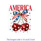 Iron2026 Edition On Patches USA Flag Bald Eagle Heat Transfer Kit Patriotic 4th Of July DIY Clothing Decor