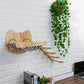 Cat Tree Wall Mounted Hammock Kit Vertical Climbing Cat Furniture Fall 2025 Space Saving Scratching Playground