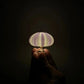 Retro Popular Sea Urchin Night Lamp - Children's Table Lamp for Girls Room Decor