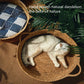 Rattan Cat Nest Handwoven Bamboo Bed Four Seasons 2025 Organic Cool Cozy Hideaway Eco Friendly