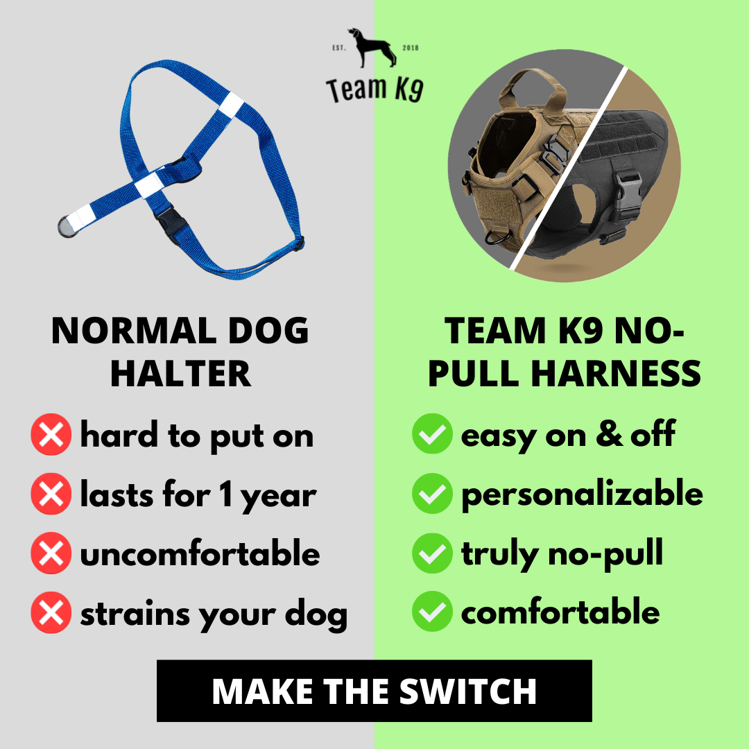 Tactical2025 Edition Dog Harness System All-In-One Training Bundle No-Pull Harness MOLLE Pouches Travel Water Bowl Holiday