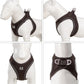 Dog Harness Leash Kit Reflective Padded Vest All Seasons Outdoor Walking Gift Idea