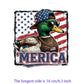 Iron2026 Edition On Patches USA Flag Bald Eagle Heat Transfer Kit Patriotic 4th Of July DIY Clothing Decor