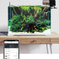 WiFi Fish Feeder 2L Hopper Automatic Aquarium Feeder Smart Household 2025 App And Voice Control Scheduled Feeding