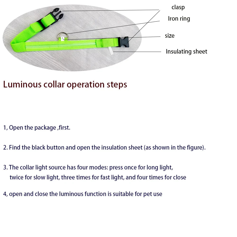 LED Dog Collar Glow In The Dark Night Safety Luminous Fall 2026 Trend Great Gift Idea