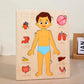 Montessori Human Anatomy Jigsaw Puzzle for Kids, 10 Pieces Educational Toy, Interactive Learning Device, Non-Toxic Wood, 12 x 9 Inches