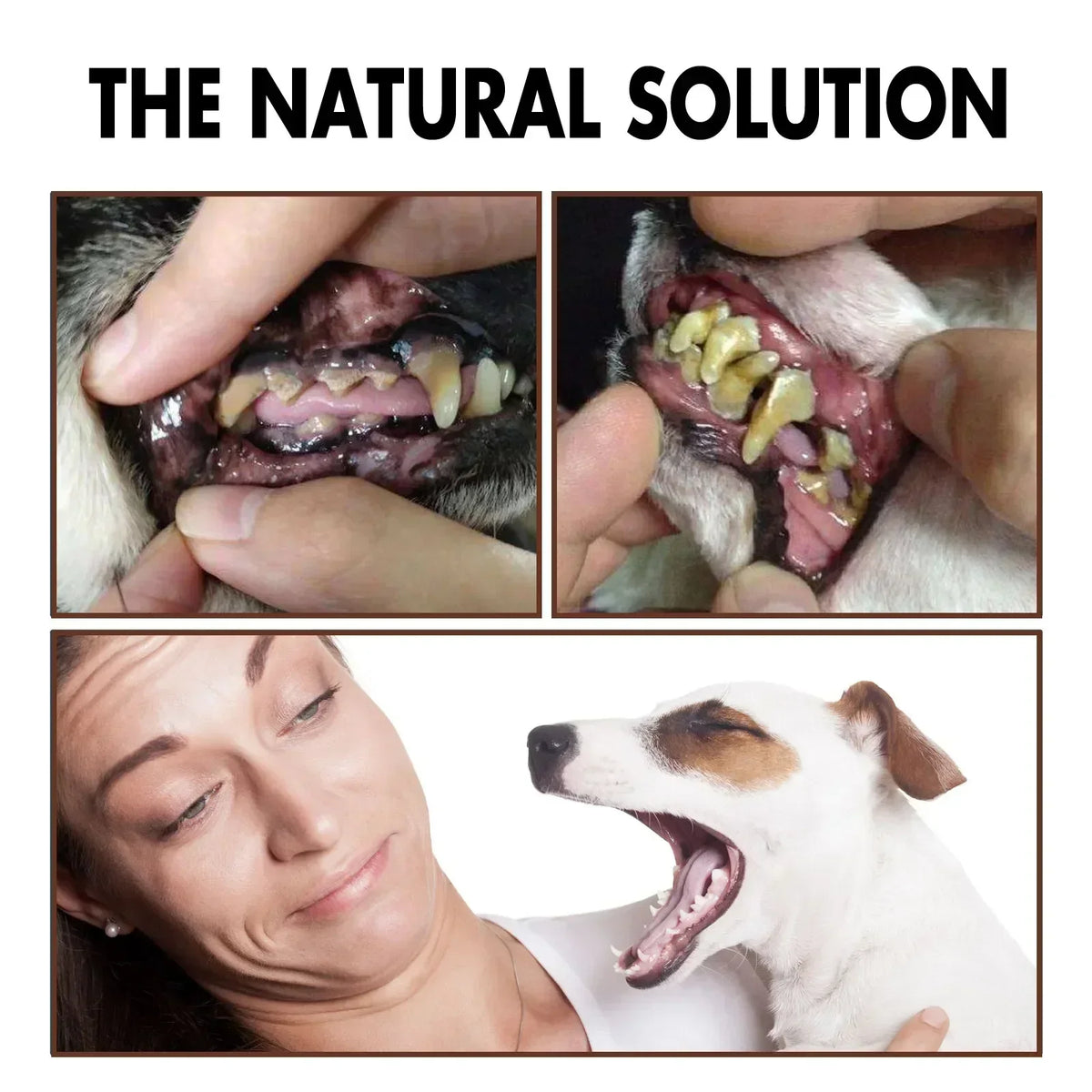 Pet Grooming Maintenance Dental Spray for Dogs & Cats - Bad Breath Freshener & Oral Cleaning, 30ml