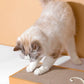 Cat Pet Scratching Board Cat Cardboard Mat for Claw Grinding