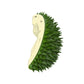 Grooming Cat Scratcher Brush & Massager for Dogs and Cats - Pet Hair Remover, 8 Colors