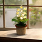 Lily Knitted Of The Valley Cotton Rope Pot Lamp Cozy