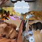 Raised Pet Feeding Station Tilted 3-Bowl Design With 500ML Water Bottle Fall 2025 Comfort-Grip Spine Protection