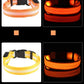 LED Dog Collar Glow In The Dark Night Safety Luminous Fall 2026 Trend Great Gift Idea