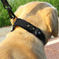 Leather Dog Collar Flexible Padded Pet Collar With AirTag Holder Deluxe Design All-Season Comfort Gift