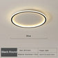 LED2026 Edition Ceiling Light Scandinavian Minimalist Circular with Remote Control Energy Efficient Household Decor TikTok Viral Fall