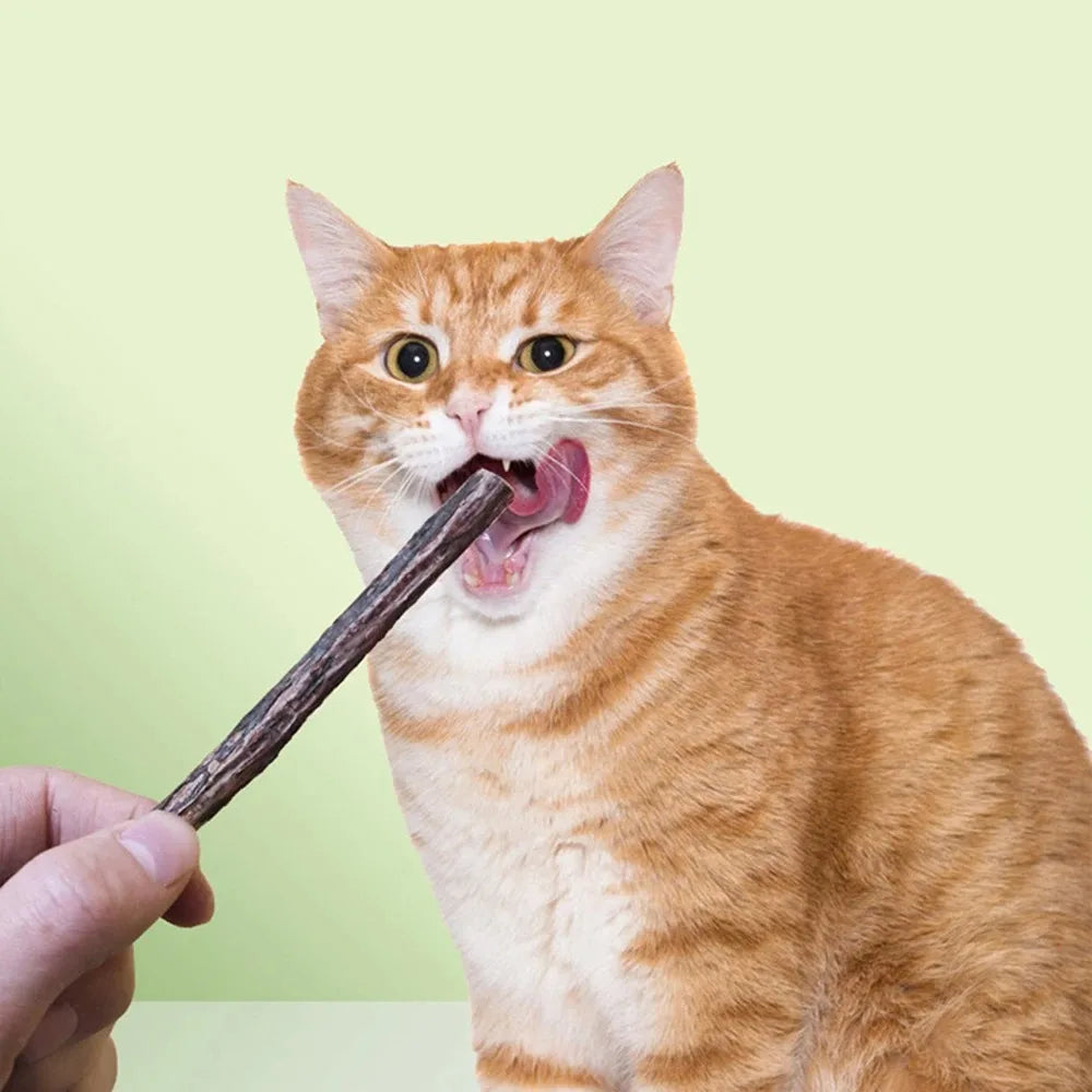 Organic Matatabi Cat Chew Sticks 15-Pack - Silvervine Catnip Dental Toy for Teeth Cleaning