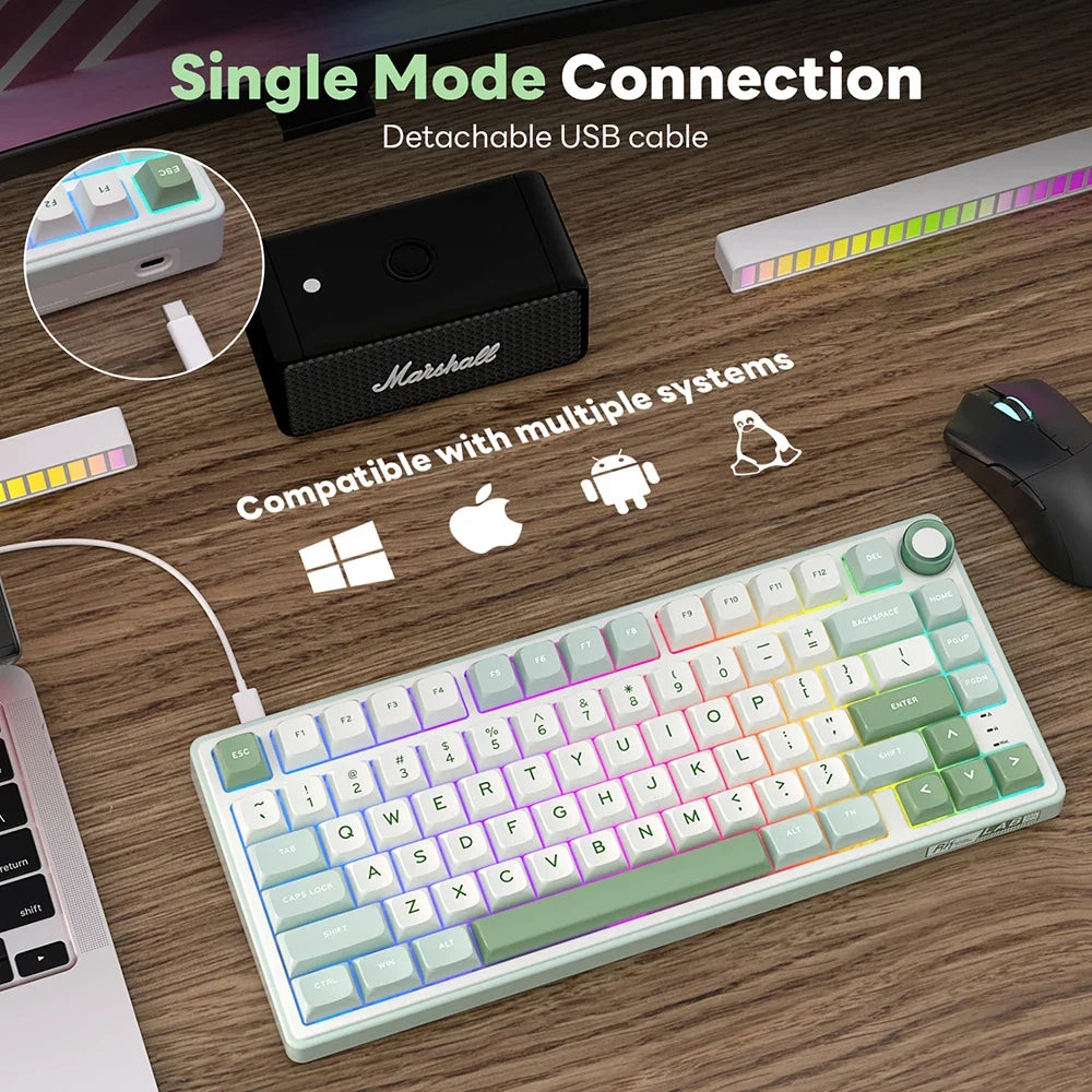Keyboard Mechanical R75 Gasket 80Key RGB Hot Swap Spanish