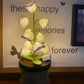 Lily Knitted Of The Valley Cotton Rope Pot Lamp Cozy