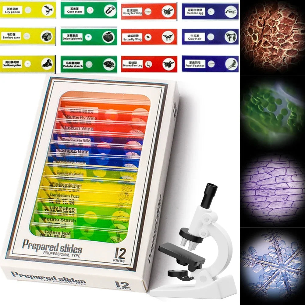Specimen Microscope Slides for Kids - 200MP Specimens for 1000x Magnification, STEM Science Learning Toy