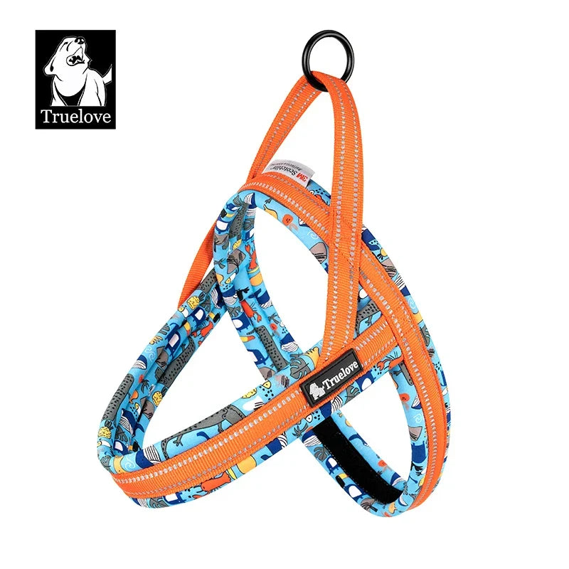 Dog Harness Floral Mesh Padded Vest Harness Fast Fit Flexible All Breeds Fall 2025 Cozy Walks