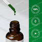 Chlorophyll Liquid Drops Mint Flavor 59 ml, Non-GMO Gluten-Free Herbal Dietary Supplement for Wellness Fall 2026 Trend