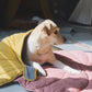 Fashion Creativity Leaf Heart Shaped Blanket Carpet for Child Pet Cat Dog Mat Household Decor