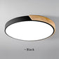 Japandi Led Ceiling Light Scandinavian Wood Contemporary Plush Glow Diffuser